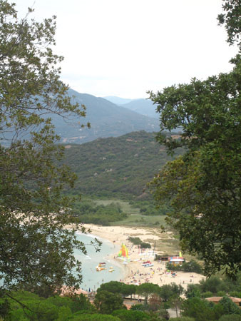 IMG_2631
